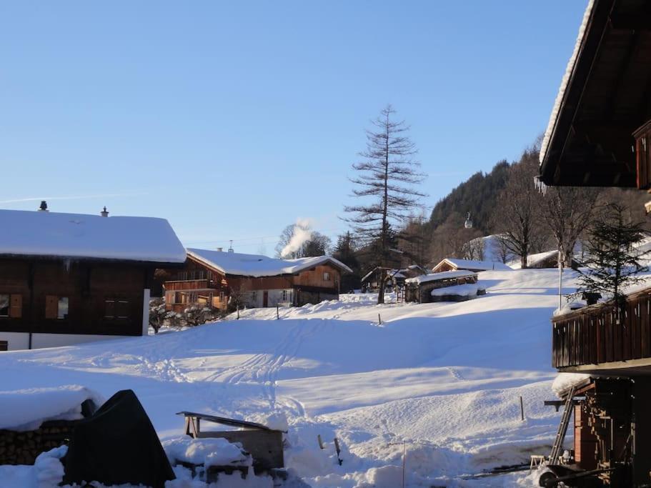 Chalet Engi Apt 1 For Up To 8 People Гринделвалд Екстериор снимка